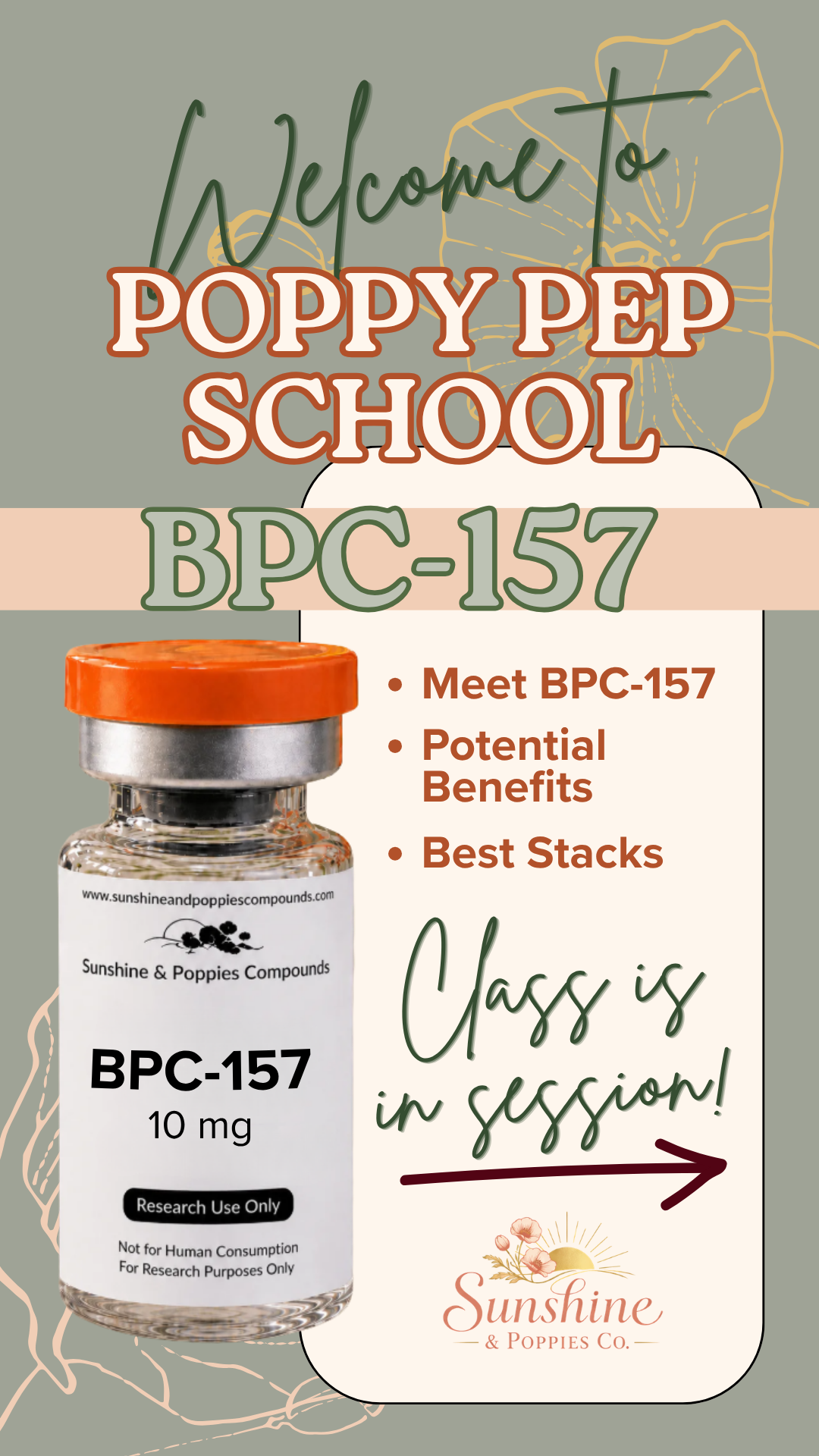 BPC-157 Research Guide