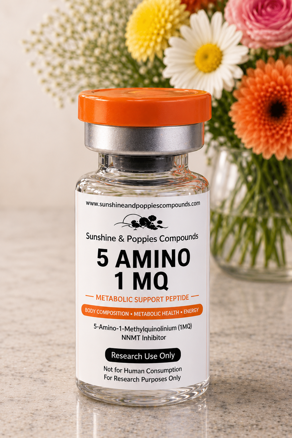 5 Amino 1MQ