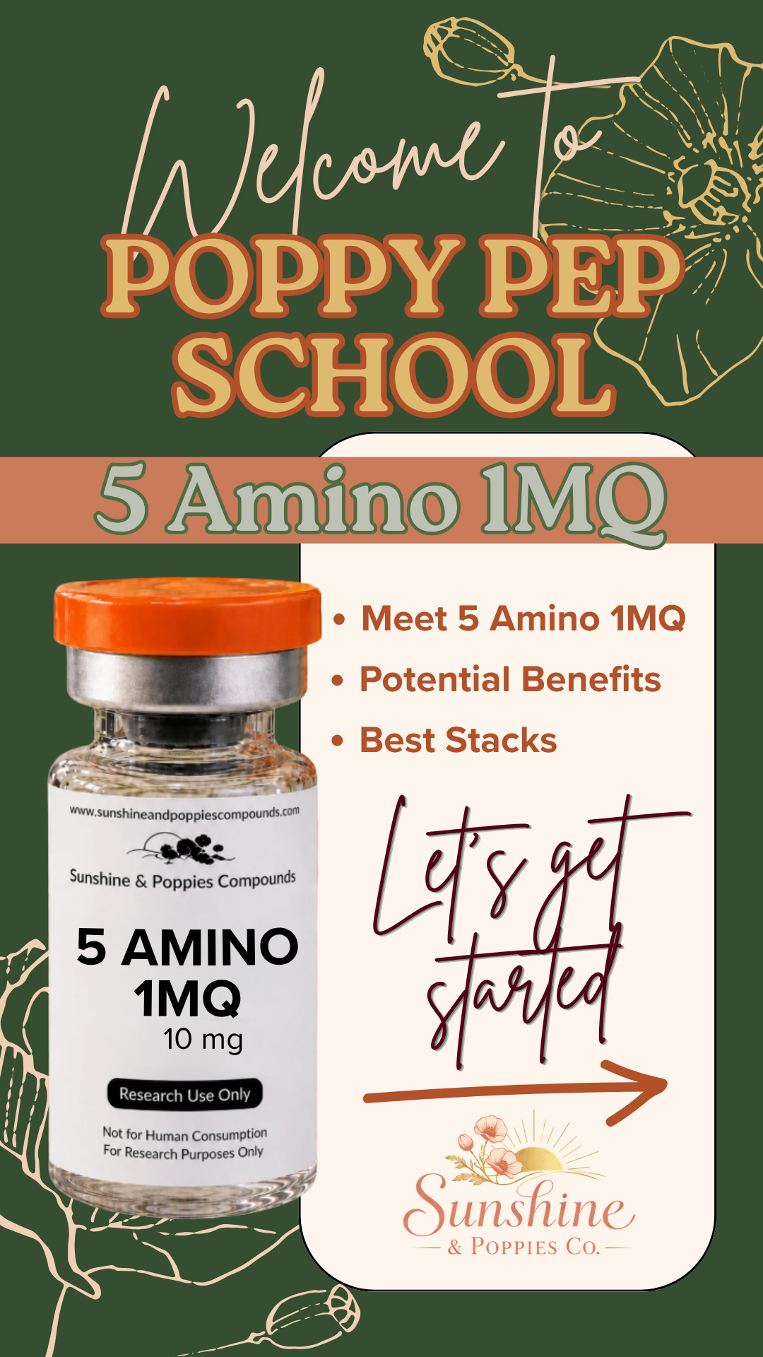 5 Amino Research Guide