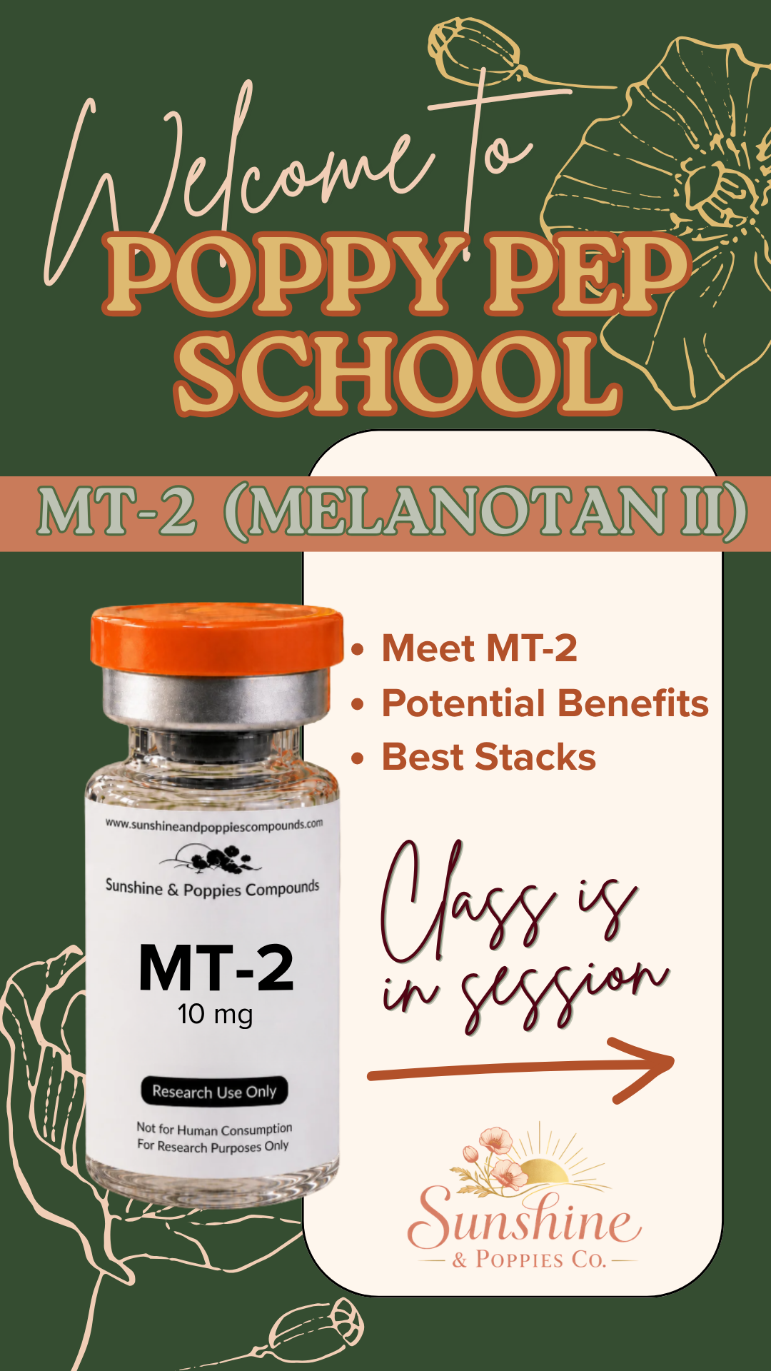 MT-2 Research Guide