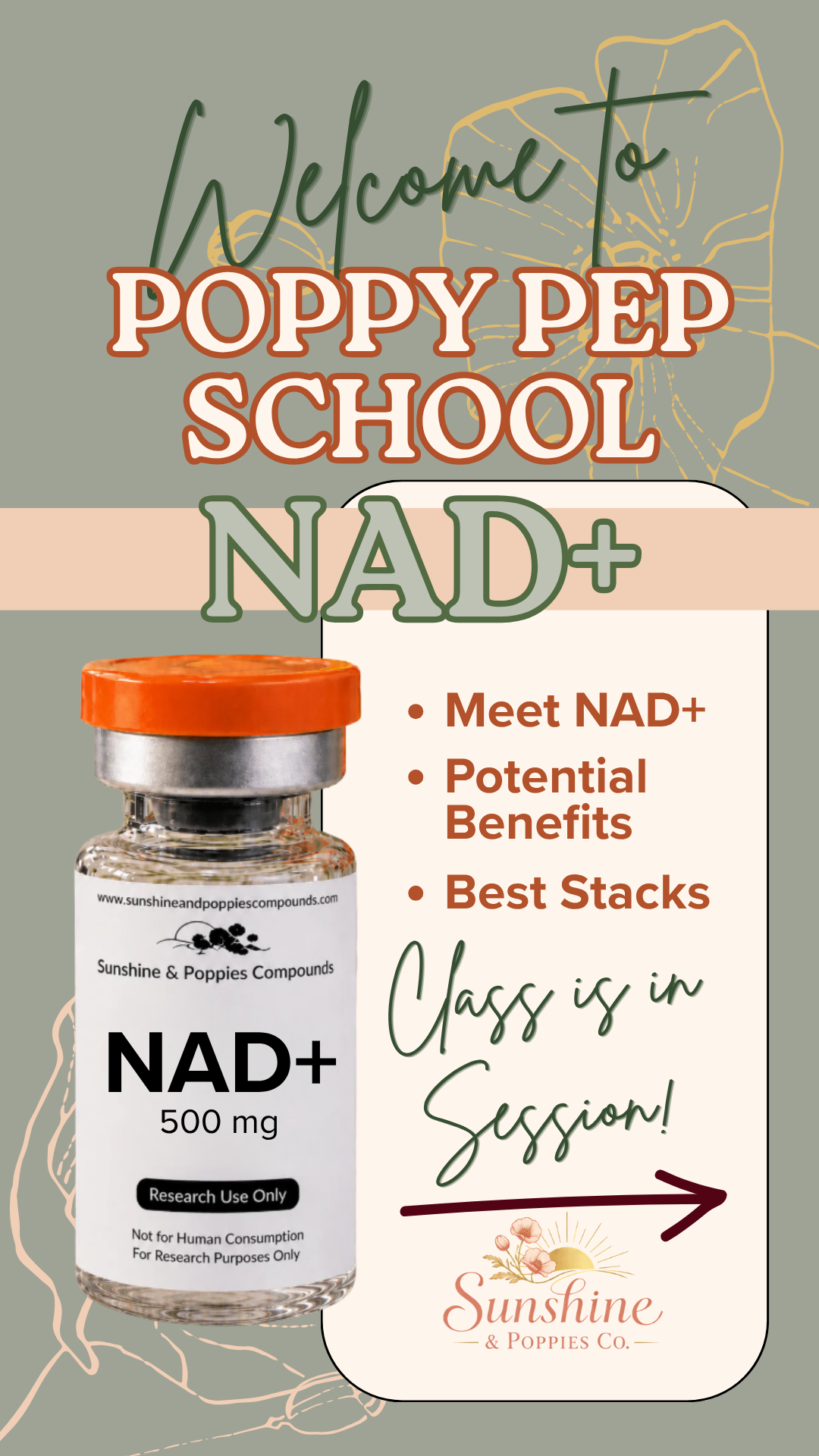NAD+ Research Guide