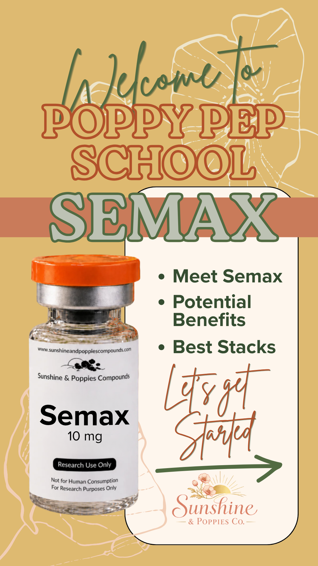 Semax Research Guide