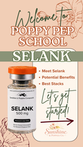 Selank Research Guide