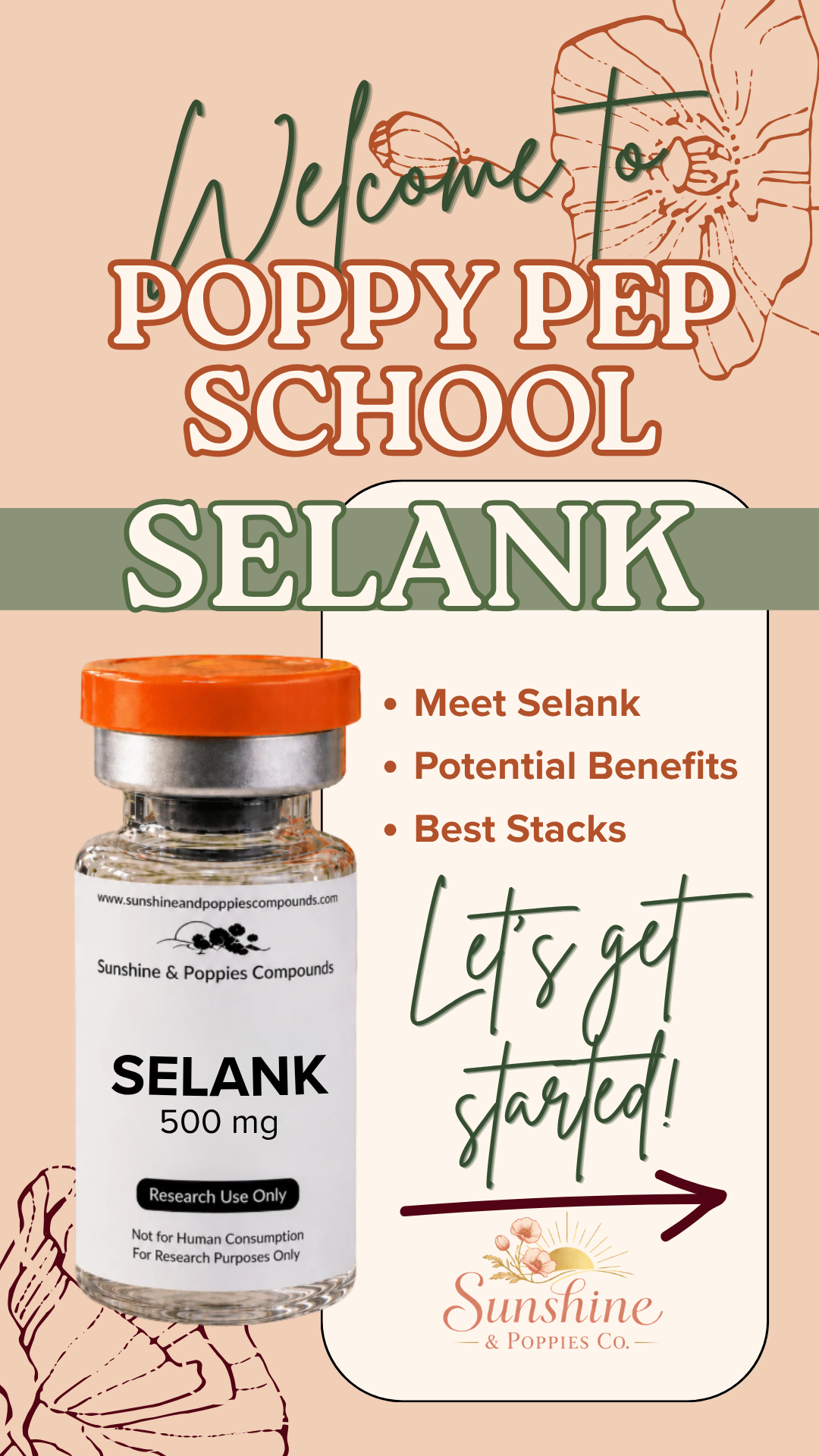 Selank Research Guide