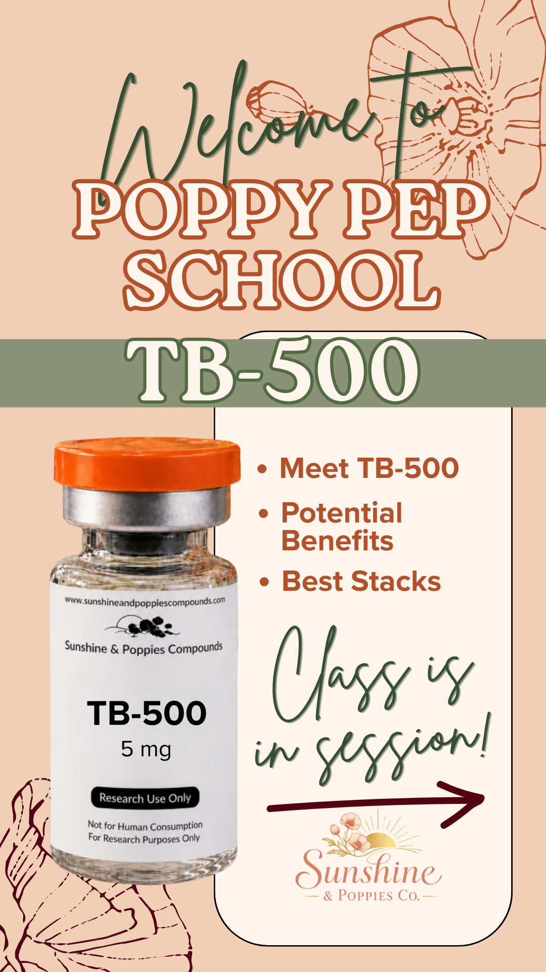 TB-500 Research Guide